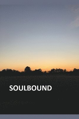 bokomslag Soulbound