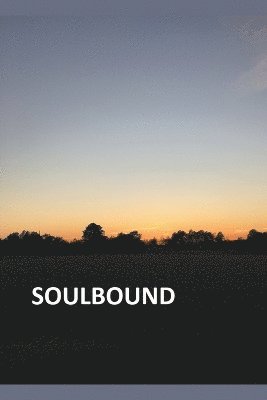 Soulbound 1