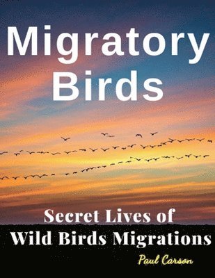 bokomslag Migratory Birds