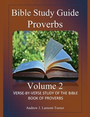 bokomslag Bible Study Guide