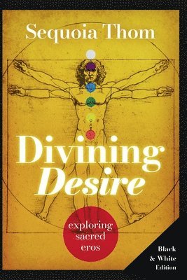 bokomslag Divining Desire