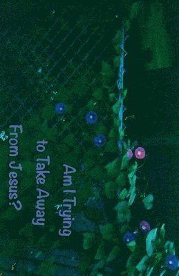 Stephen Meiner - Am I Trying to Take Away From Jesus?, Häftad