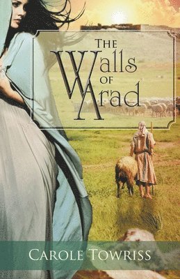 The Walls of Arad 1