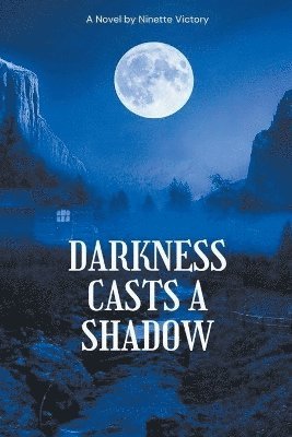 bokomslag Darkness casts a shadow