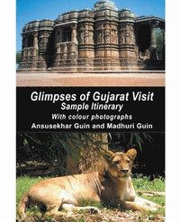 bokomslag Glimpses of Gujarat Visit
