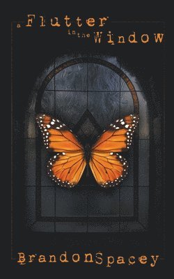 A Flutter in the Window 1