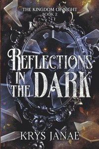bokomslag Reflections in the Dark