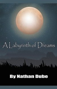 bokomslag Labyrinth of Dreams