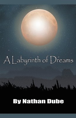 bokomslag Labyrinth of Dreams