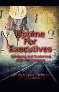 bokomslag Uptime for Executives