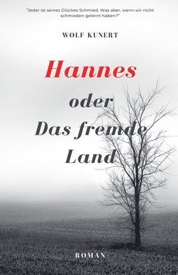 bokomslag Hannes oder Das fremde Land