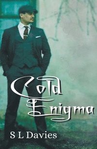 bokomslag Cold Enigma