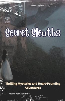 Secret Sleuths 1