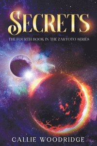 bokomslag Secrets