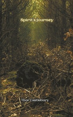 bokomslag Spirit's Journey