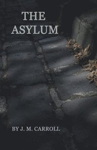 bokomslag Asylum