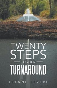 bokomslag Twenty Steps To Your Turnaround