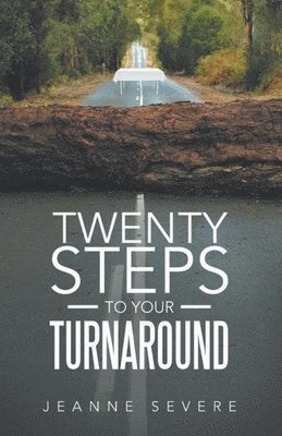 Twenty Steps To Your Turnaround 1