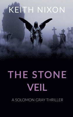 bokomslag The Stone Veil