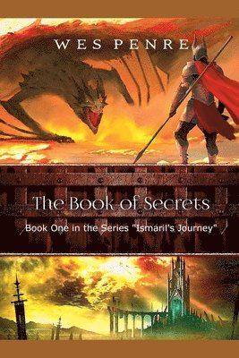 bokomslag The Book of Secrets