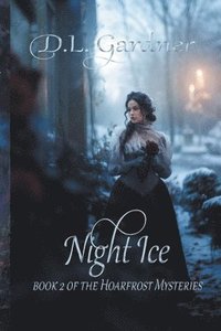 bokomslag Night Ice