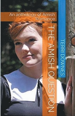 Terri Downes - Amish Question, Häftad