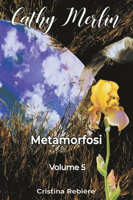 bokomslag Metamorfosi