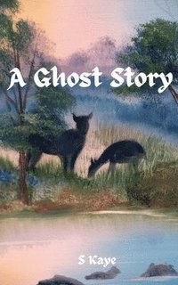 bokomslag A Ghost Story