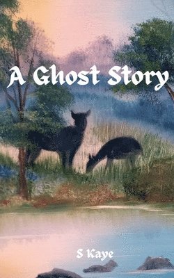 bokomslag A Ghost Story