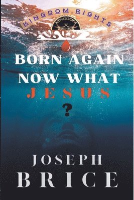 Born Again Now What Jesus 1