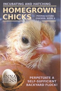 bokomslag Incubating and Hatching Homegrown Chicks