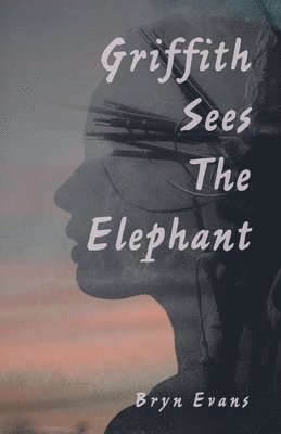bokomslag Griffith Sees the Elephant