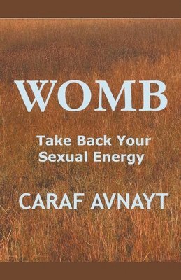 bokomslag WOMB - Take Back Your Sexual Energy