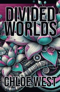 bokomslag Divided Worlds