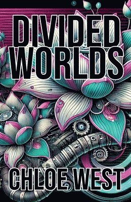 bokomslag Divided Worlds