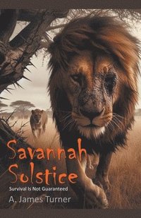 bokomslag Savannah Solstice