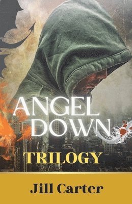 bokomslag Angel Down Trilogy