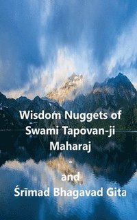 bokomslag Wisdom Nuggets of Swami Tapovan-ji Maharaj - and Srimad Bhagavad Gita