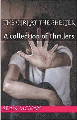 The Girl At The Shelter A Collection Of Thrillers 1