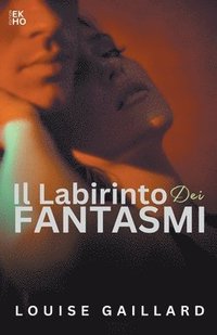 bokomslag Il labirinto dei fantasmi