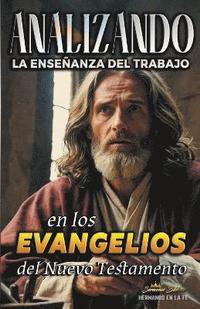 bokomslag Analizando la Enseanza del Trabajo en los Evangelios del Nuevo Testamento