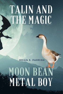 bokomslag Talin and the Magic Moon Bean Metal Boy