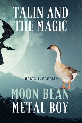 Talin and the Magic Moon Bean Metal Boy 1