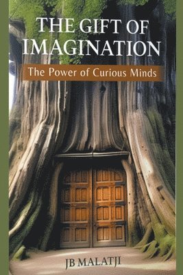 bokomslag Gift of Imagination