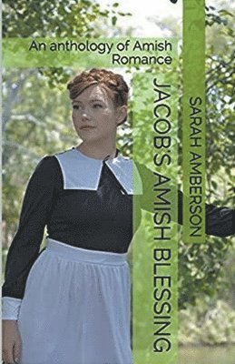bokomslag Jacob's Amish Blessing