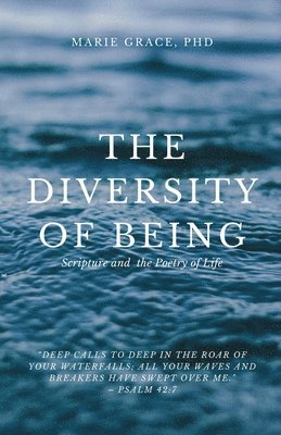 bokomslag Diversity of Being