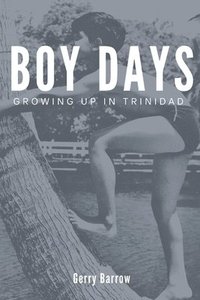 bokomslag Boy Days