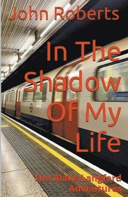 In The Shadow Of My Life 1