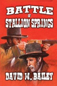 bokomslag Battle of Stallion Springs