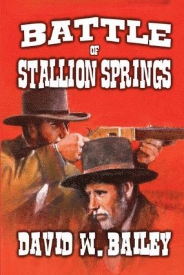 Battle of Stallion Springs 1